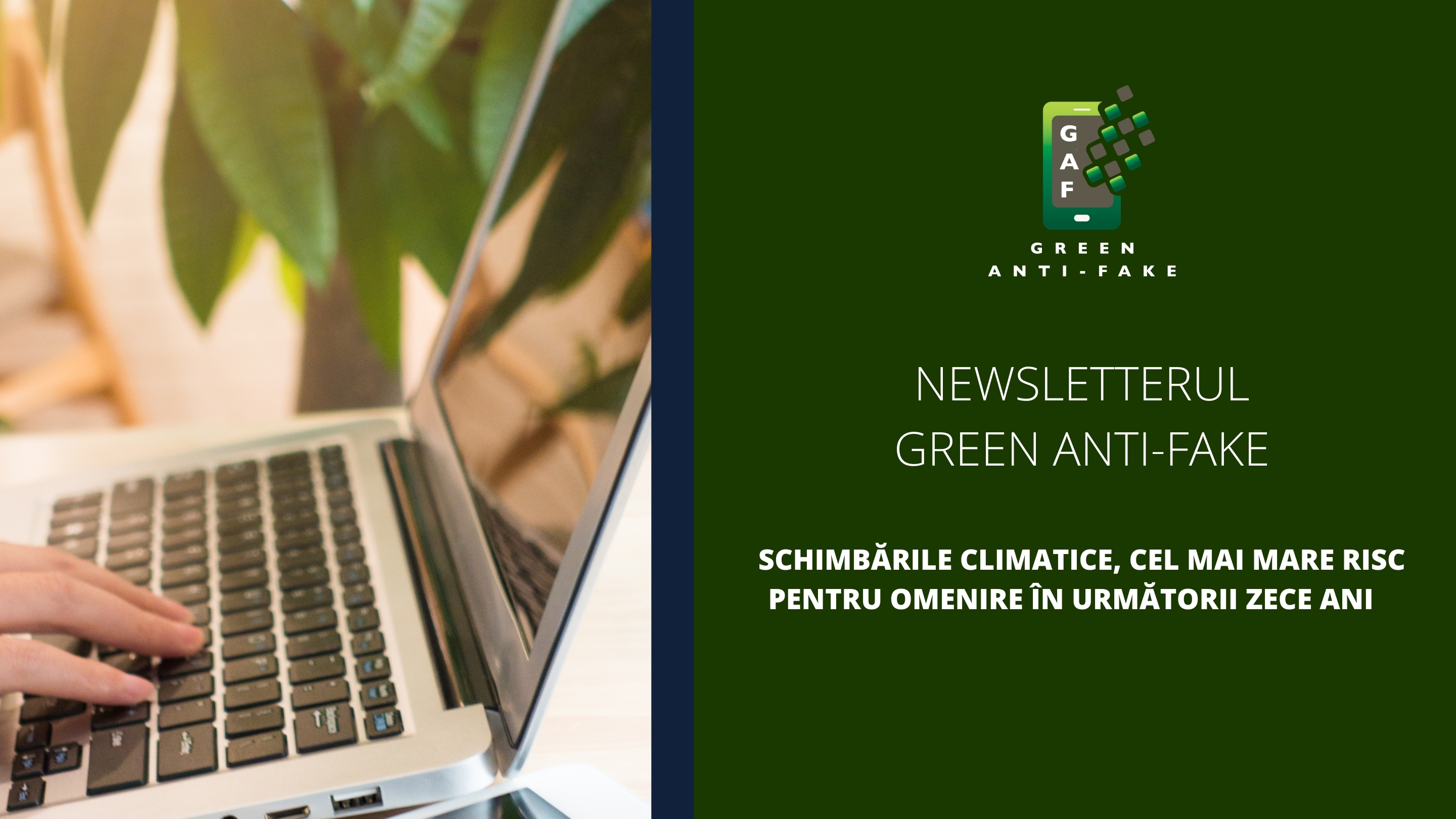 Vizual cover Newsletter AF + Green AF